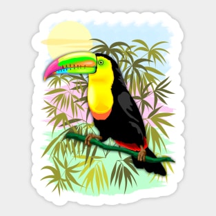 Toucan Wild Bird from Amazon Rainforest Sticker